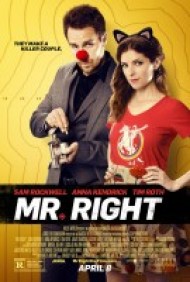 Mr. Right (2016) Action / Comedy / Romance